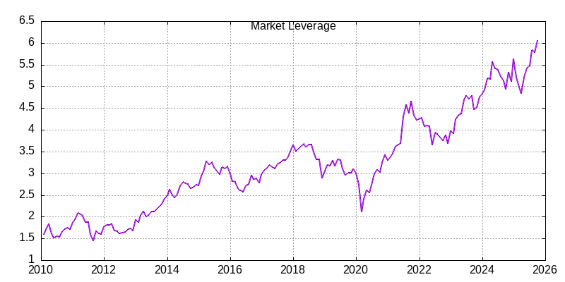 Market leverage through November 2025
